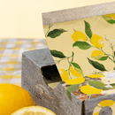 Framar Pop Ups - Limoncello  500 Sheets - Limited Edition