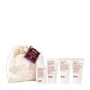 Evo The Mane Introduction Curl Travel Pack