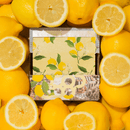 Framar Pop Ups - Limoncello  500 Sheets - Limited Edition
