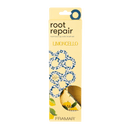 Framar Limoncello Root Repair Brush Set Limited Edition