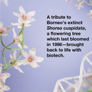 K18 Future Society Mask 50ml Limited Edition