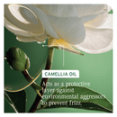 Biolage Smooth Proof Shampoo 400ml