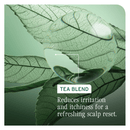 Biolage Scalp Sync Universal Conditioner 236ml