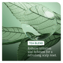 Biolage Scalp Sync Clarifying Shampoo 400ml