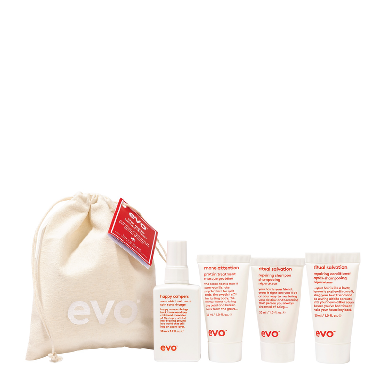 Evo The Mane Introduction Repair Travel Pack