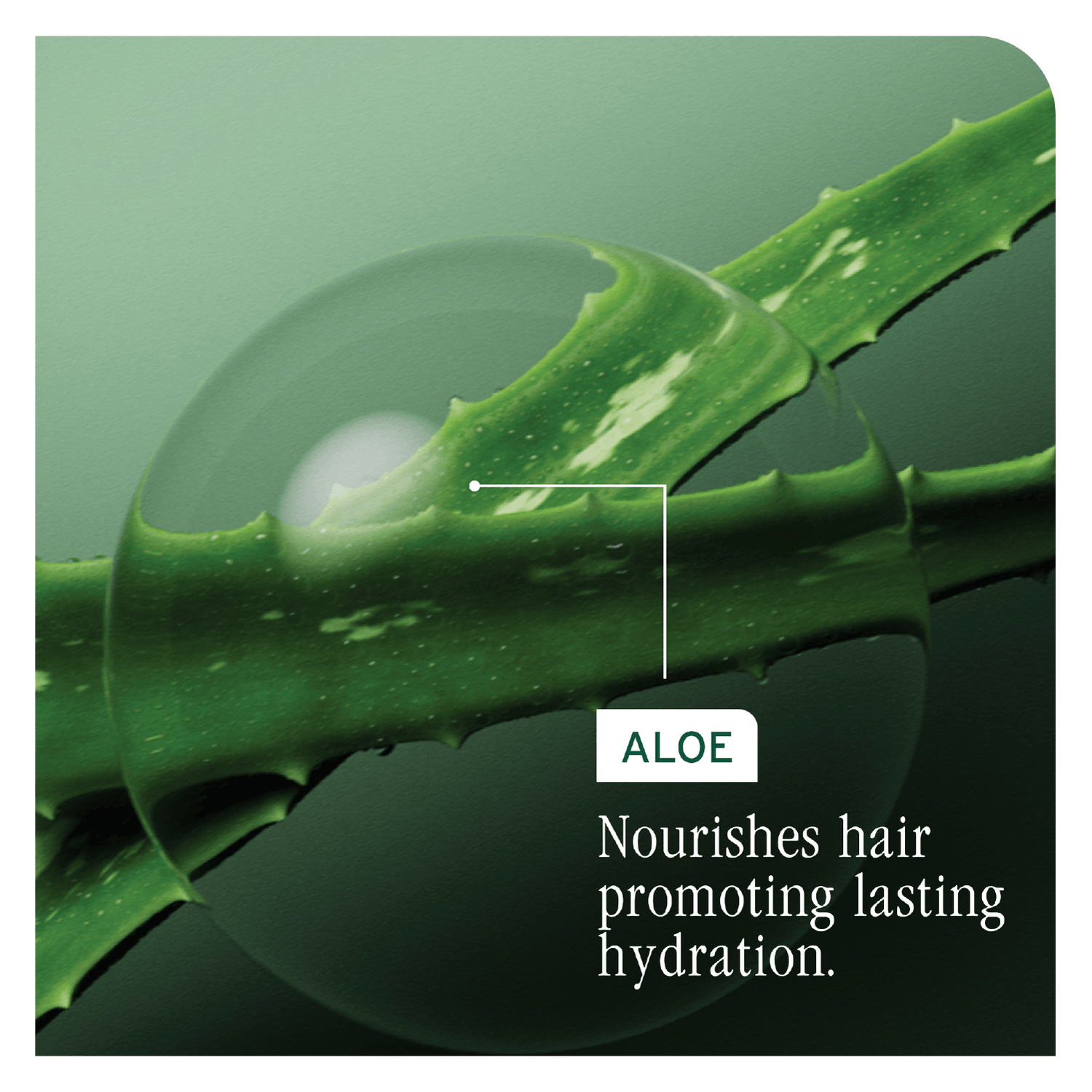 Biolage Hydrasource Shampoo 400ml