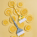 Framar Limoncello Root Repair Brush Set Limited Edition