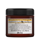 Davines Naturaltech Nourishing Hair Building Pak 250ml