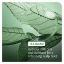 Biolage Scalp Sync Purifying Scalp Concentrate 200ml