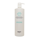 JUUCE Peppermint Conditioner 1 Litre