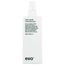 Evo Root Canal Volumising Spray 200ml - Haircare Market
