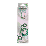 Framar Power Painter Set Palmshell Limited Edition - Haircare Market