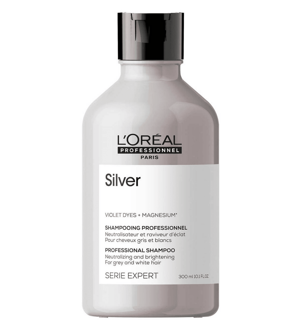 Loreal silver 2025