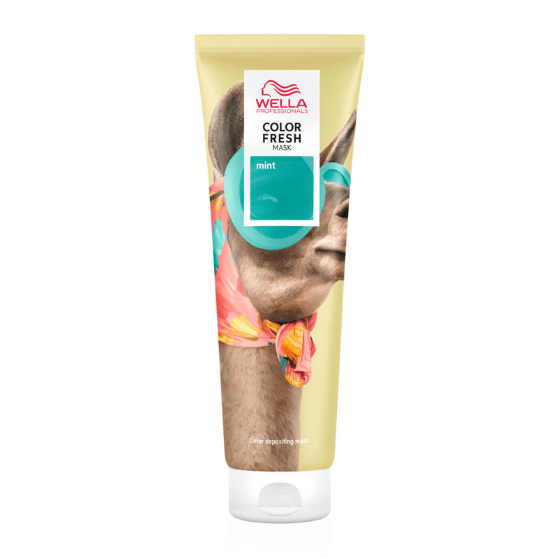 Wella Color Fresh Mask Mint 150ml - Haircare Market